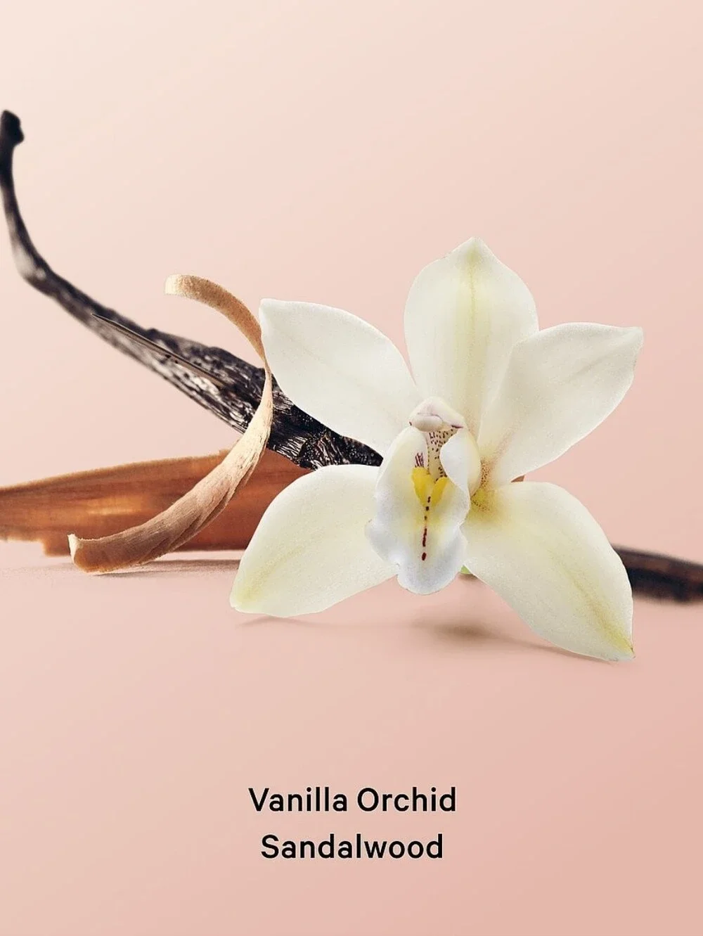 Victoria's Secret Vanilla Orchid & Sandalwood Shimmer Body Oil New RARE